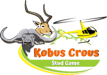 Kobus Crous Game