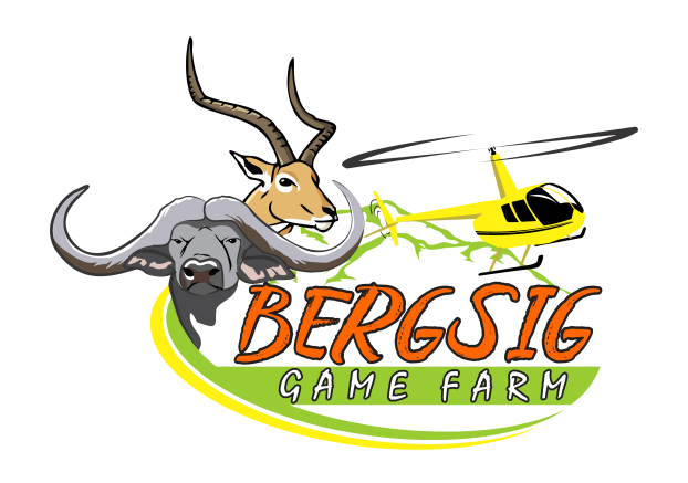 Bersig Logo