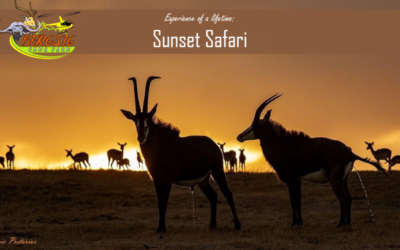 10 Reasons to do a Bergsig Sunset Safari